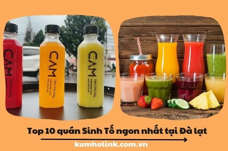 Top 10 quán sinh tố ngon tại Lâm Đồng