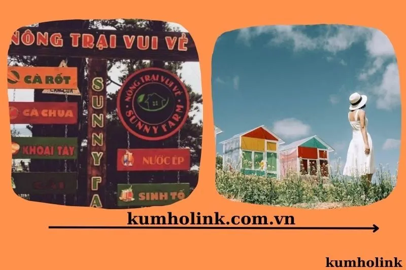 khu vui chơi Nông trại vui vẻ Sunny Farm