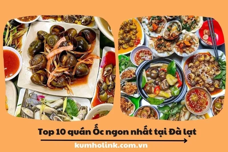 Top 10 quán ốc ngon tại Lâm Đồng