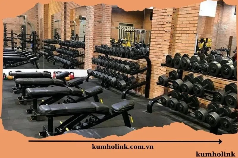 Gold Gym